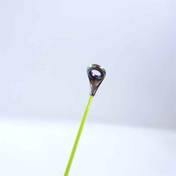 ２１アオリスタ５００